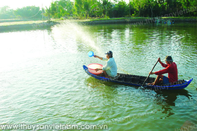 Lưu ý khi sử dụng BKC